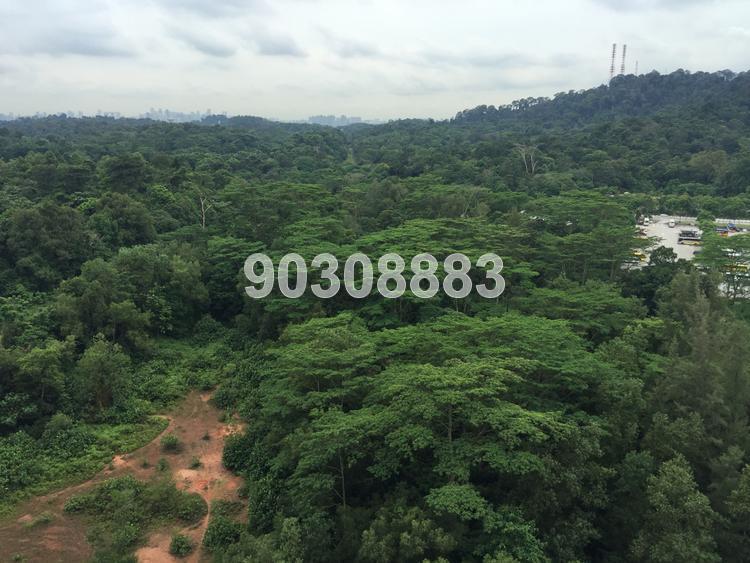 Foresque Residences (D23), Condominium #133468182
